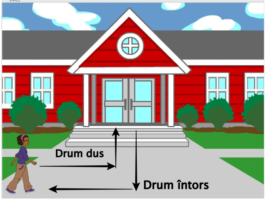 modul-5-lectia-2-drum-scoala.png